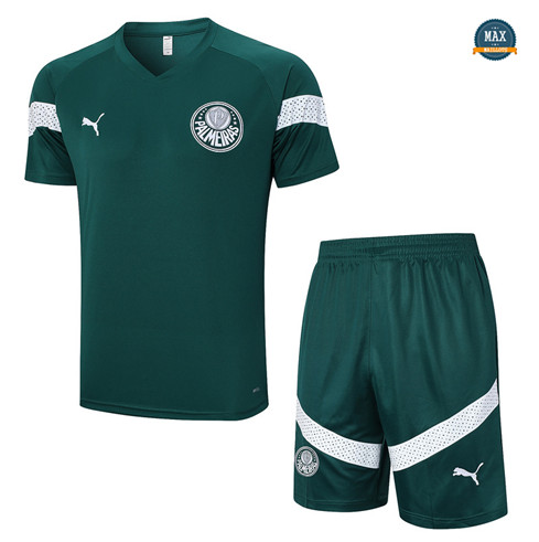 Acheter Max Maillot Palmeiras + Short 2023/24 Training Vert fiable