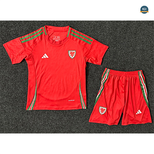 Max Maillot Pays de Galles Enfant Domicile 2024/25